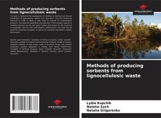 Methods of producing sorbents from lignocellulosic waste的封面