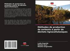 Copertina di Méthodes de production de sorbants à partir de déchets lignocellulosiques