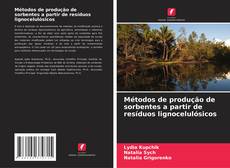 Bookcover of Métodos de produção de sorbentes a partir de resíduos lignocelulósicos
