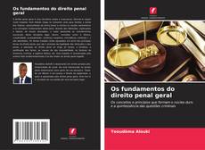 Bookcover of Os fundamentos do direito penal geral