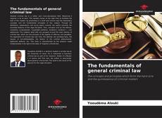 Обложка The fundamentals of general criminal law