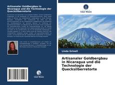 Borítókép a  Artisanaler Goldbergbau in Nicaragua und die Technologie der Quecksilberretorte - hoz