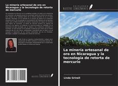 Copertina di La minería artesanal de oro en Nicaragua y la tecnología de retorta de mercurio