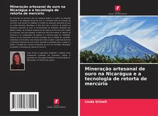 Buchcover von Mineração artesanal de ouro na Nicarágua e a tecnologia de retorta de mercúrio