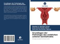 Обложка Grundlagen der Pathologie des weiblichen unteren Genitaltrakts