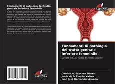 Couverture de Fondamenti di patologia del tratto genitale inferiore femminile