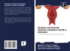 Copertina di Основы патологии нижних половых путей у женщин