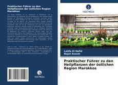 Praktischer Führer zu den Heilpflanzen der östlichen Region Marokkos kitap kapağı