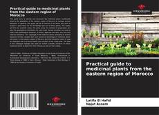 Practical guide to medicinal plants from the eastern region of Morocco的封面