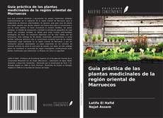 Guía práctica de las plantas medicinales de la región oriental de Marruecos的封面