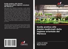 Обложка Guida pratica alle piante medicinali della regione orientale del Marocco