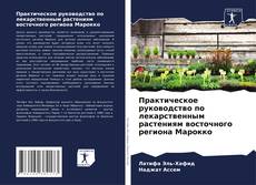 Portada del libro de Практическое руководство по лекарственным растениям восточного региона Марокко