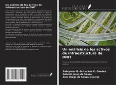 Buchcover von Un análisis de los activos de infraestructura de DNIT