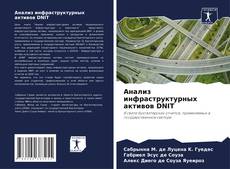 Анализ инфраструктурных активов DNIT kitap kapağı