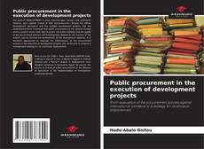 Bookcover of Public procurement in the execution of development projects