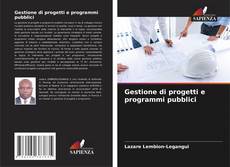 Buchcover von Gestione di progetti e programmi pubblici
