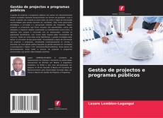 Buchcover von Gestão de projectos e programas públicos