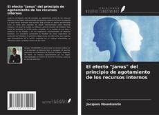 Buchcover von El efecto "Janus" del principio de agotamiento de los recursos internos