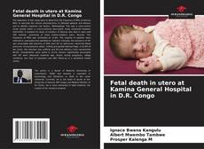 Fetal death in utero at Kamina General Hospital in D.R. Congo的封面