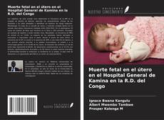 Buchcover von Muerte fetal en el útero en el Hospital General de Kamina en la R.D. del Congo
