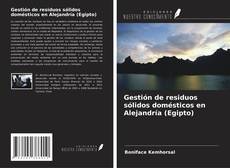 Capa do livro de Gestión de residuos sólidos domésticos en Alejandría (Egipto) 