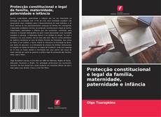 Обложка Protecção constitucional e legal da família, maternidade, paternidade e infância