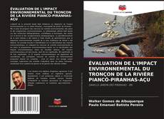 Bookcover of ÉVALUATION DE L'IMPACT ENVIRONNEMENTAL DU TRONÇON DE LA RIVIÈRE PIANCÓ-PIRANHAS-AÇU