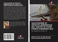 Buchcover von VALUTAZIONE DI IMPATTO AMBIENTALE DEL TRATTO DI FIUME PIANCÓ-PIRANHAS-AÇU