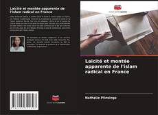 Laïcité et montée apparente de l'islam radical en France kitap kapağı