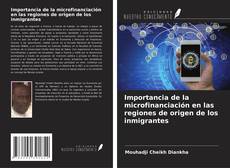 Importancia de la microfinanciación en las regiones de origen de los inmigrantes的封面