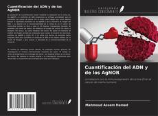 Buchcover von Cuantificación del ADN y de los AgNOR