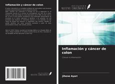 Inflamación y cáncer de colon kitap kapağı