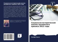 Bookcover of Социально-исторический анализ малийского кризиса 2012 года