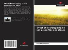 Copertina di Effect of intercropping on soil properties and plants