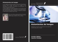 Buchcover von Aislamientos de hongos