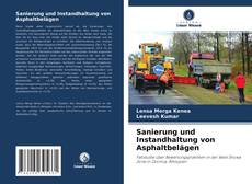 Copertina di Sanierung und Instandhaltung von Asphaltbelägen
