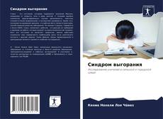 Синдром выгорания的封面