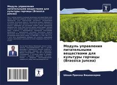 Buchcover von Модуль управления питательными веществами для культуры горчицы (Brassica juncea)