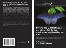 Couverture de Diversidad y estrategias del ciclo vital de las mariposas papiliónidas en A.P.