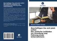 Beschäftigen Sie sich jetzt selbst Der einfache Leitfaden zur Gründung und Führung eines Unternehmens的封面