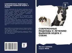Bookcover of СОВРЕМЕННЫЕ ПОДХОДЫ К ЛЕЧЕНИЮ ВЫВИХОВ БЕДРА У СОБАК