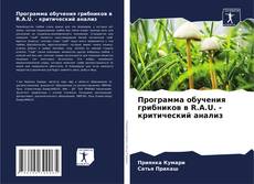 Couverture de Программа обучения грибников в R.A.U. - критический анализ