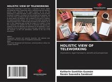 Bookcover of HOLISTIC VIEW OF TELEWORKING