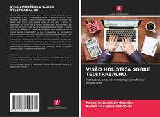 Bookcover of VISÃO HOLÍSTICA SOBRE TELETRABALHO