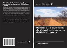 Borítókép a  Revisión de la exploración de kimberlita en la cuenca del Kalahari central - hoz