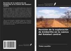 Couverture de Revisión de la exploración de kimberlita en la cuenca del Kalahari central