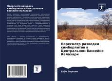 Buchcover von Пересмотр разведки кимберлитов в Центральном бассейне Калахари