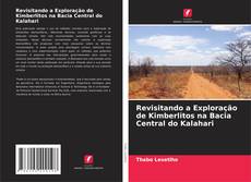 Bookcover of Revisitando a Exploração de Kimberlitos na Bacia Central do Kalahari