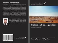 Buchcover von Indicación biogeoquímica: