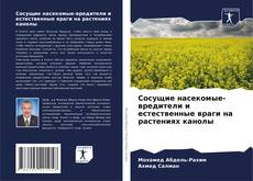 Buchcover von Сосущие насекомые-вредители и естественные враги на растениях канолы